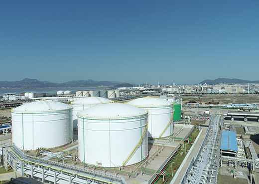 菠菜担保网·(中国区)官方网站